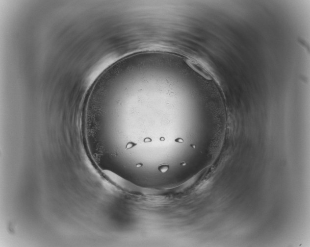 X0000100231007200805301408
