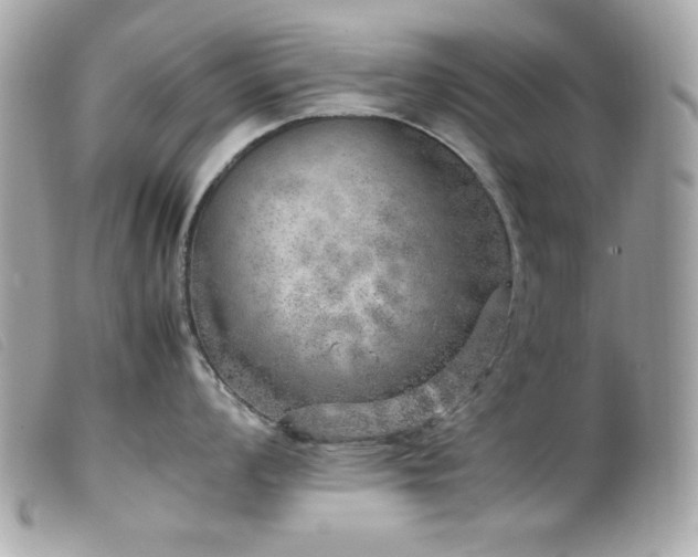 X0000100231008200805301408
