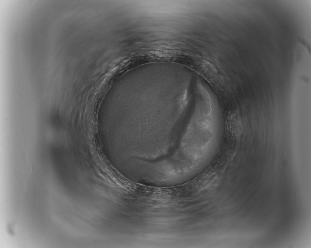 X0000100231009200805301407