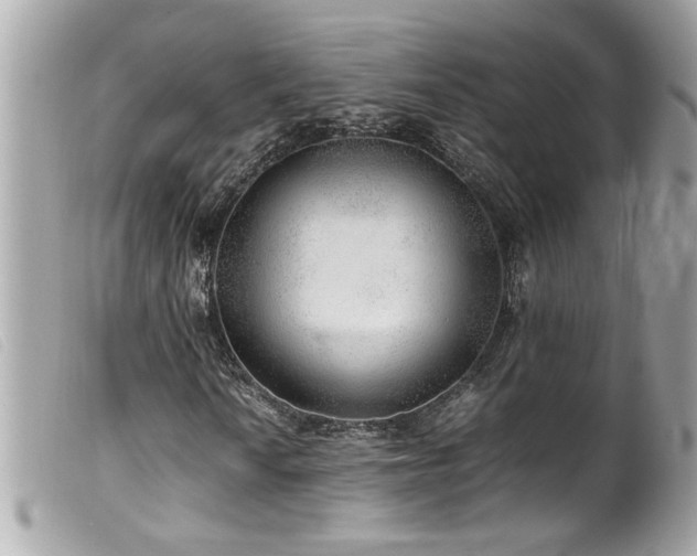 X0000100231010200805301407