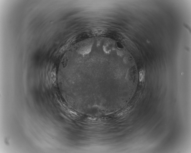 X0000100231011200805301407