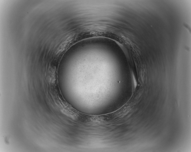 X0000100231012200805301408