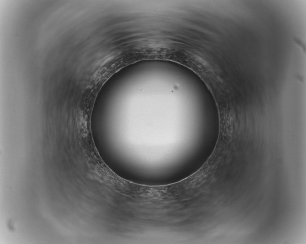 X0000100231013200805301408