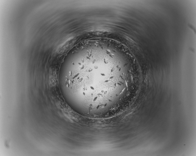X0000100231014200805301408