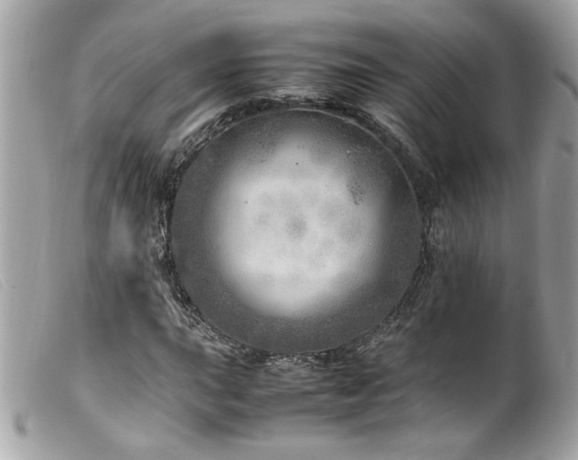 X0000100231015200805301408