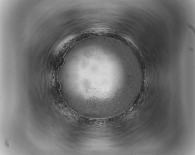 X0000100231016200805301408