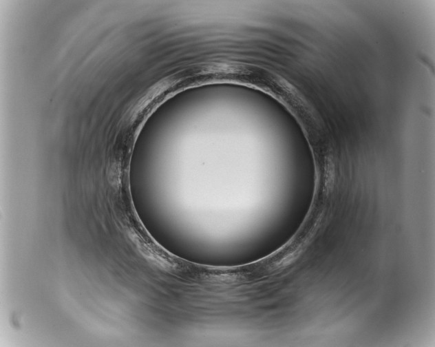 X0000100231017200805301408