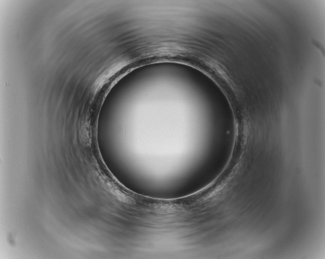 X0000100231018200805301408