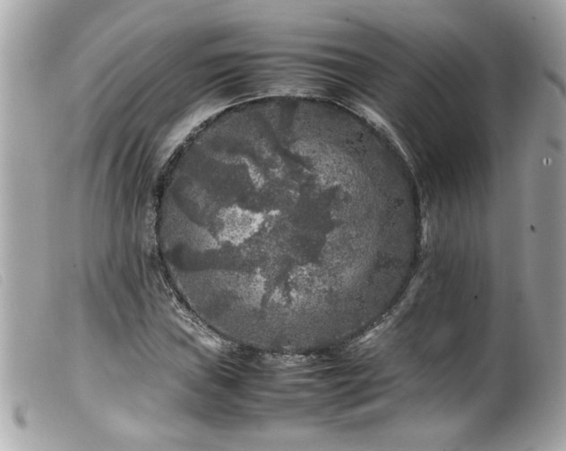 X0000100231019200805301408