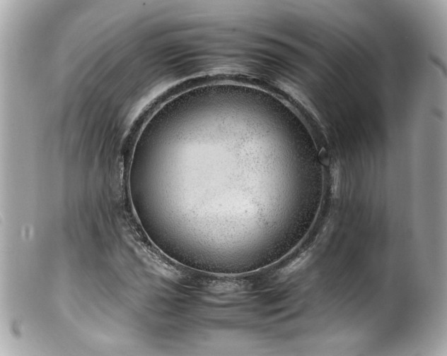 X0000100231021200805301408