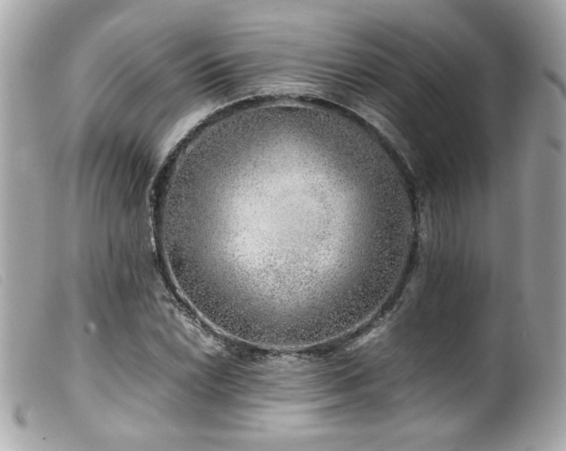 X0000100231022200805301408