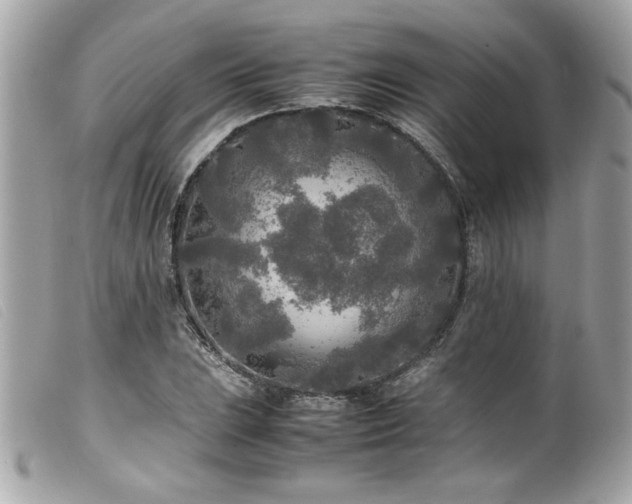 X0000100231023200805301408