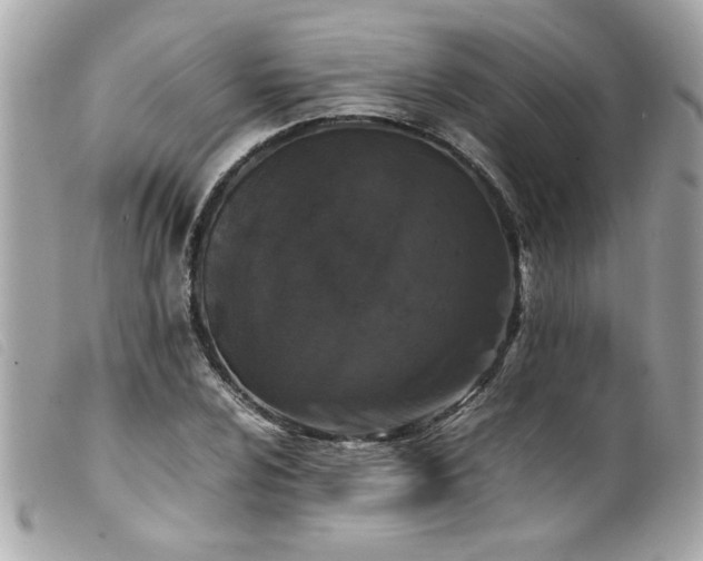 X0000100231024200805301408