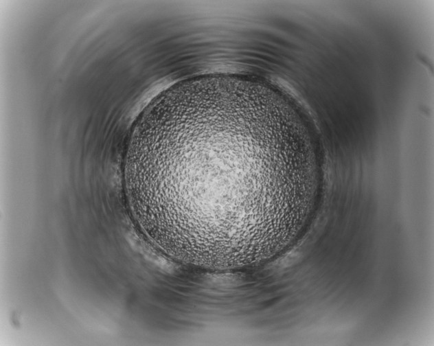 X0000100231025200805301408