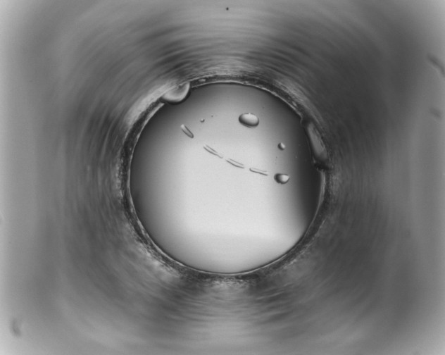 X0000100231026200805301408