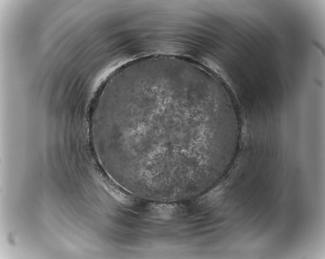 X0000100231027200805301408