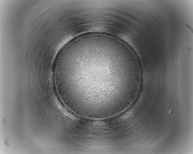 X0000100231029200805301408