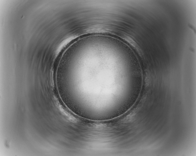 X0000100231030200805301408