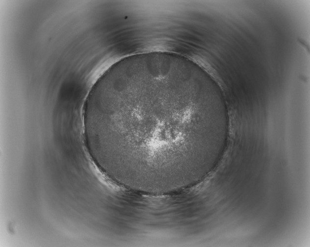 X0000100231031200805301408