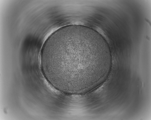 X0000100231032200805301408