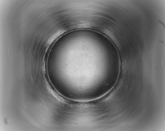 X0000100231034200805301408