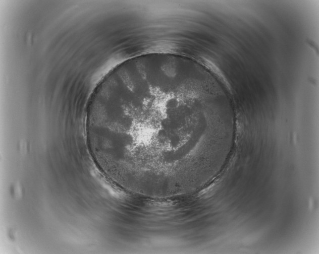X0000100231035200805301408