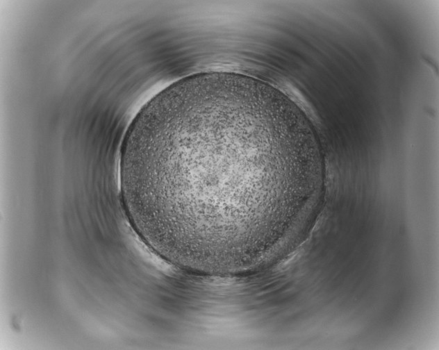 X0000100231036200805301408