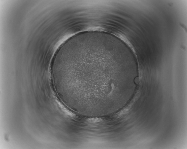 X0000100231037200805301408