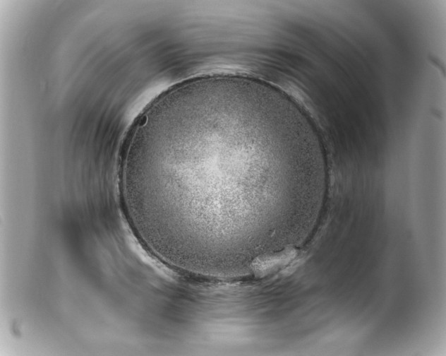 X0000100231038200805301408