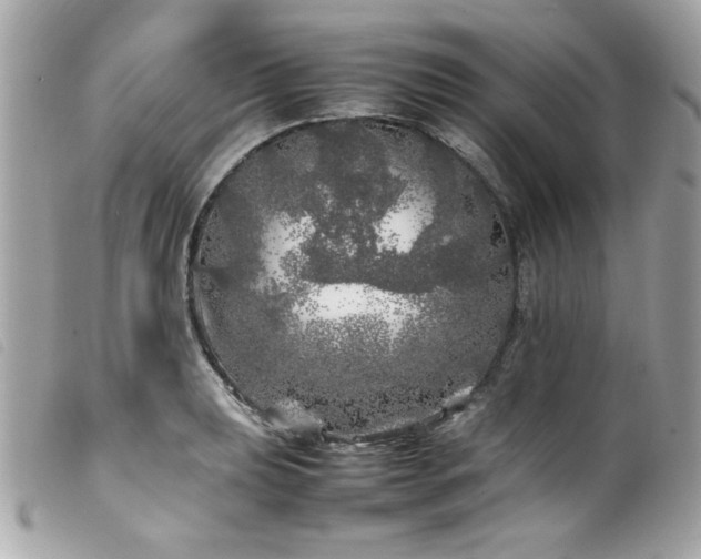 X0000100231039200805301408