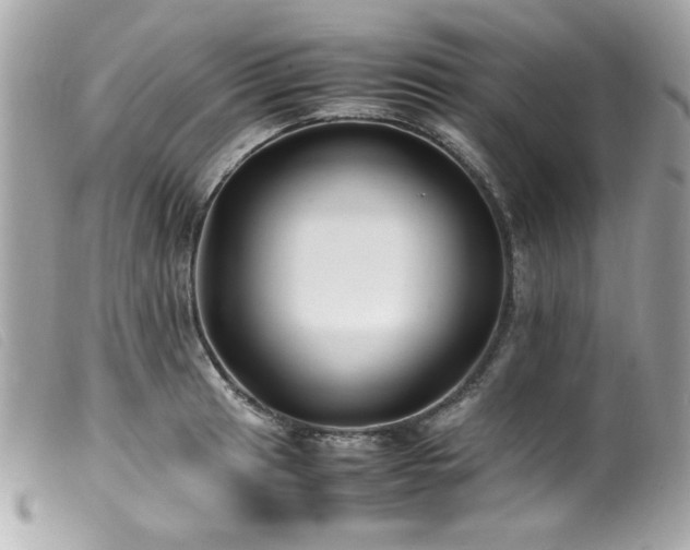 X0000100231041200805301408