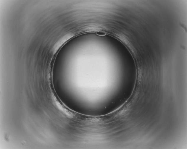 X0000100231042200805301408