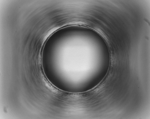 X0000100231044200805301408