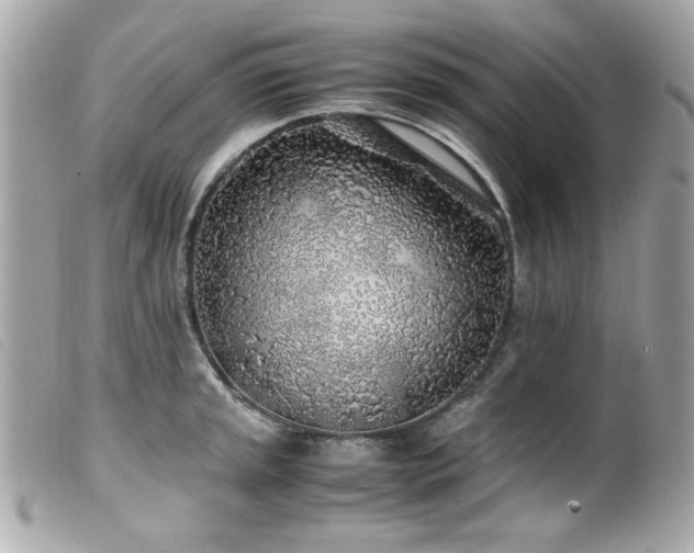 X0000100231045200805301408
