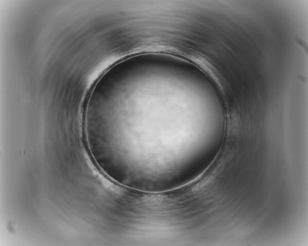 X0000100231046200805301408