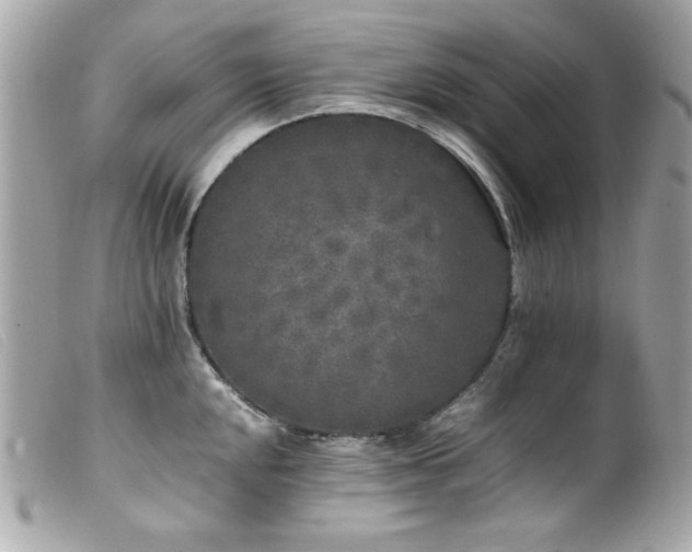 X0000100231048200805301408