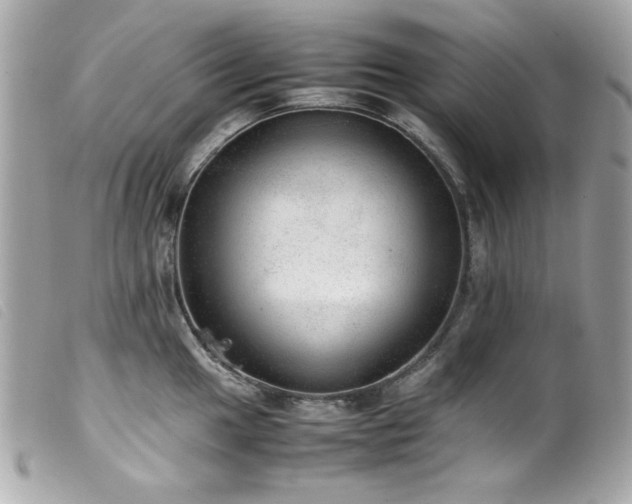 X0000100231049200805301408