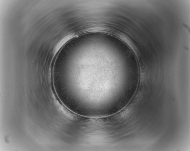 X0000100231050200805301408