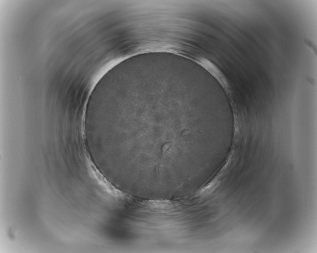 X0000100231052200805301408