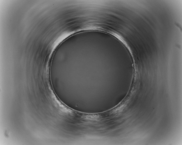 X0000100231053200805301408