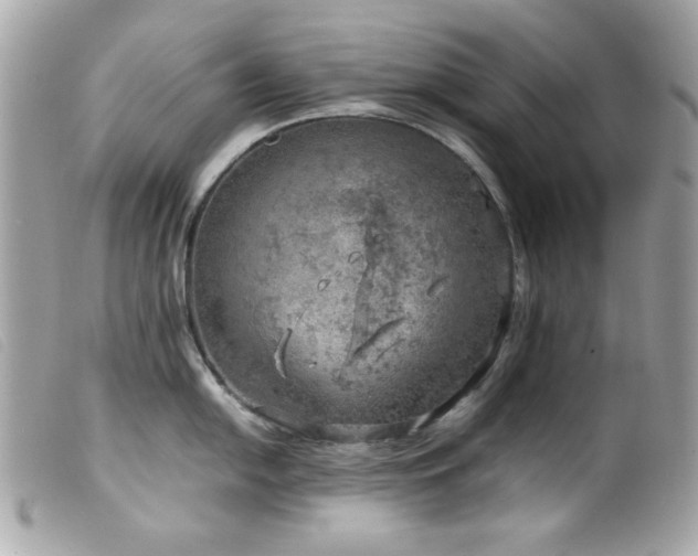 X0000100231054200805301408