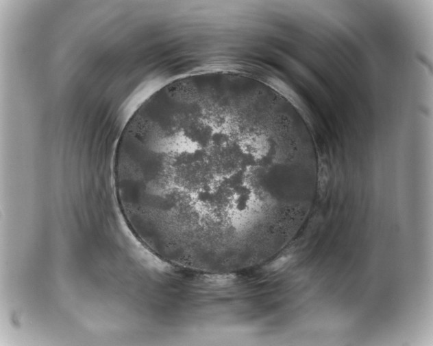 X0000100231055200805301408