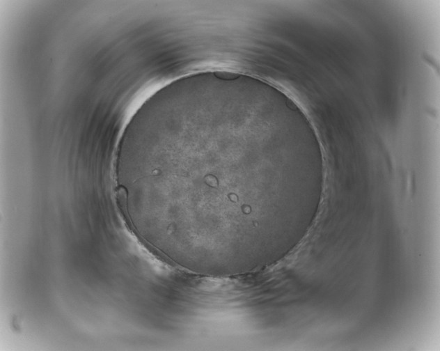 X0000100231056200805301408