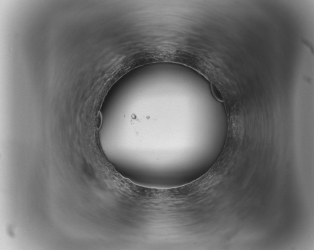 X0000100231057200805301407