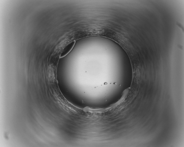 X0000100231058200805301407