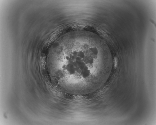 X0000100231059200805301407