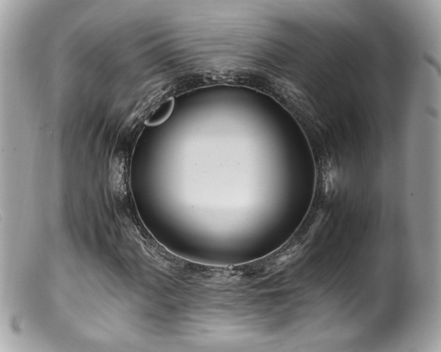 X0000100231060200805301407