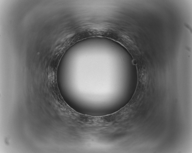 X0000100231061200805301407
