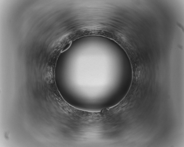 X0000100231062200805301407