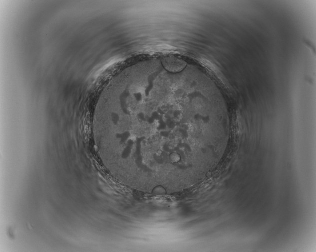 X0000100231063200805301407
